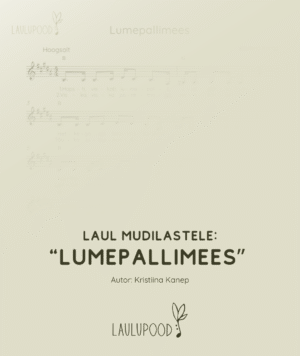 "Lumepallimees"